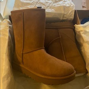 Ugg classic boots